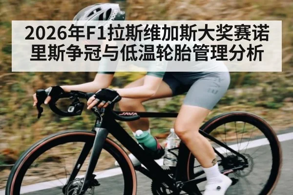 2026年F1拉斯维加斯大奖赛诺里斯争冠与低温轮胎管理分析